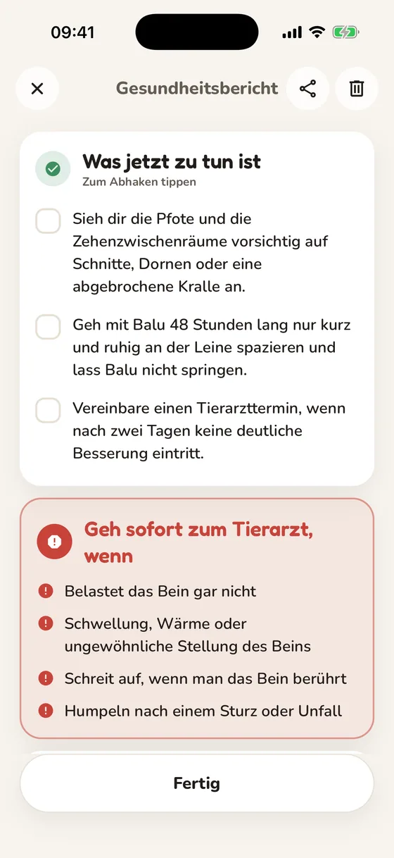 Pawsy-Bericht mit Checkliste für jetzt und Warnzeichen
