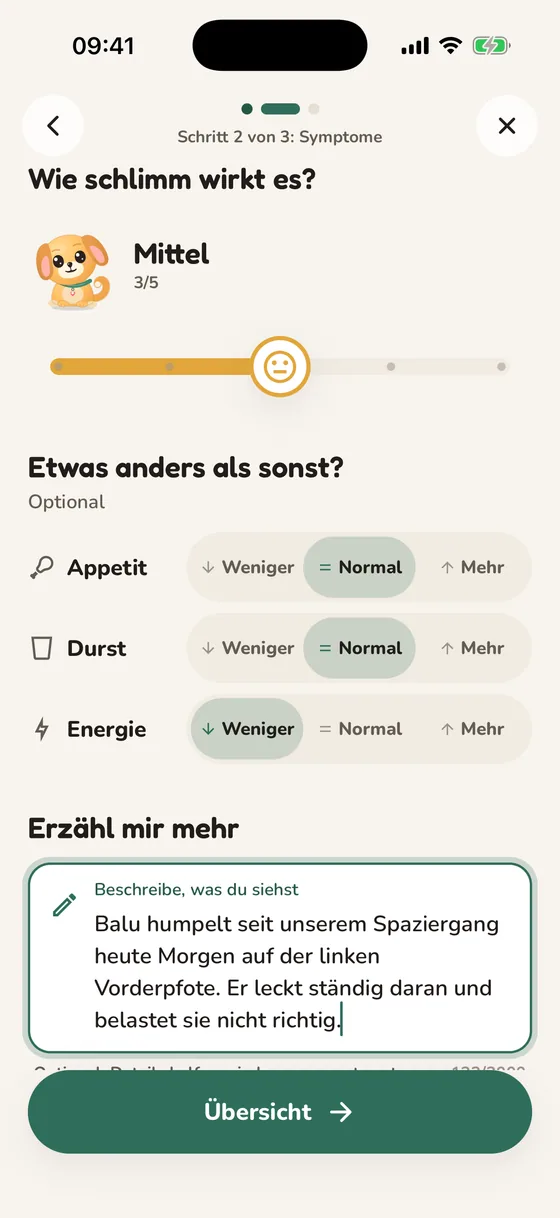 Pawsy-Bildschirm, auf dem du Symptome und deren Schwere beschreibst