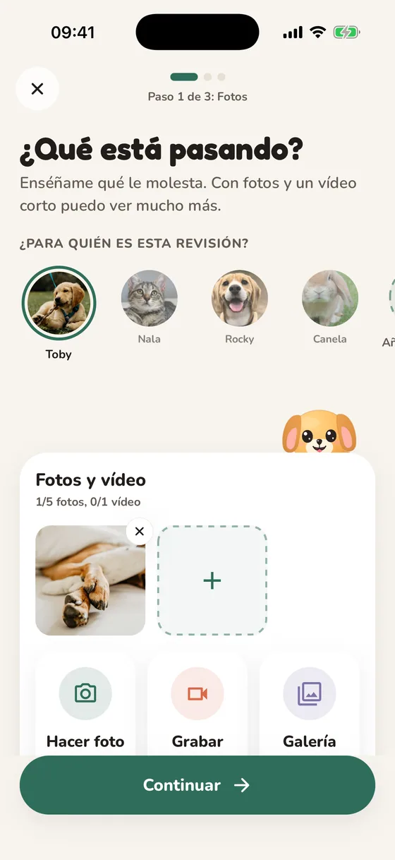Pantalla de Pawsy que pregunta qué pasa, con opciones de foto y vídeo