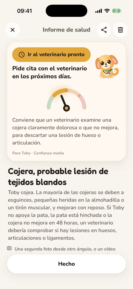 Informe de salud de Pawsy con el nivel de urgencia «Ir al veterinario pronto»