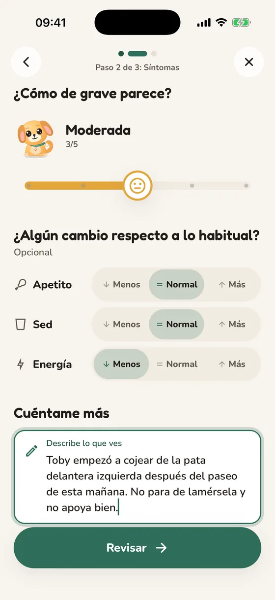 Pantalla de Pawsy donde describes los síntomas y su gravedad