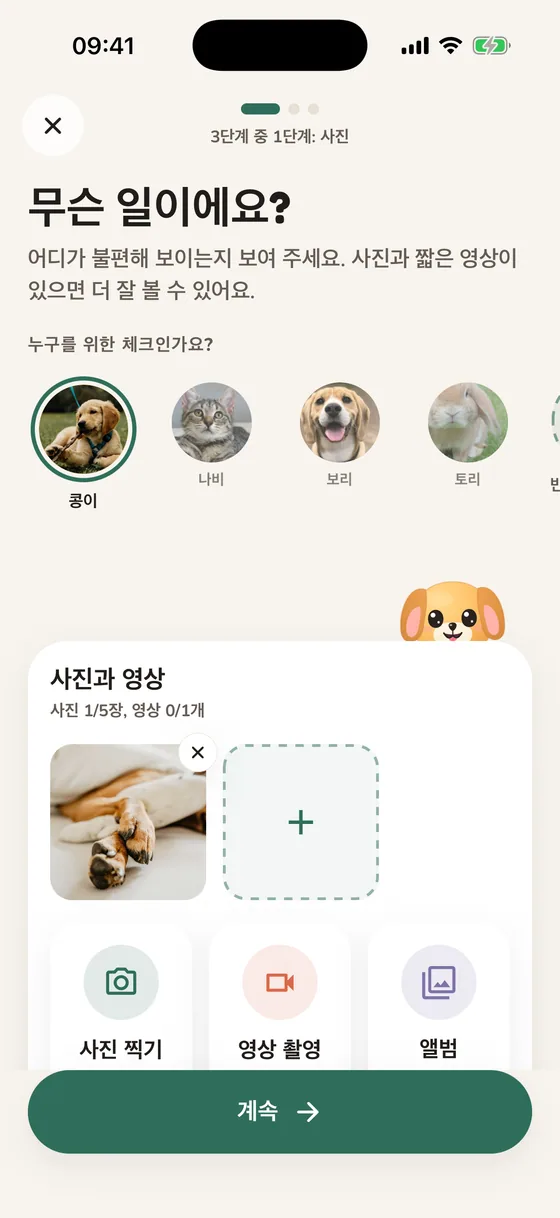 무슨 일인지 묻고 사진과 영상 옵션이 있는 Pawsy 화면