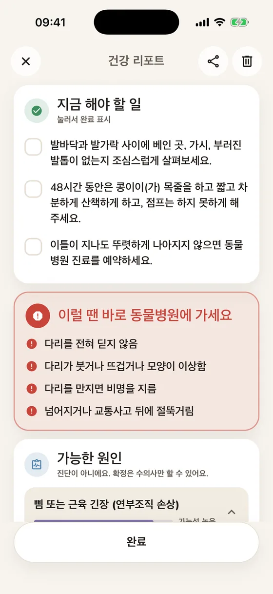 지금 할 일 목록과 위험 신호가 담긴 Pawsy 리포트