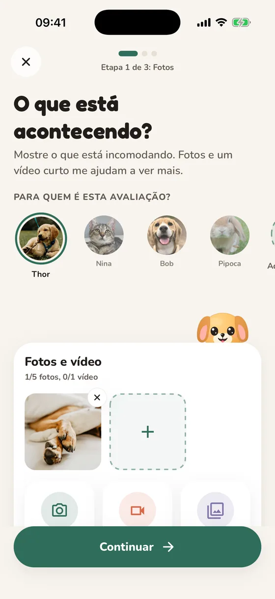 Tela do Pawsy perguntando o que está acontecendo, com opções de foto e vídeo