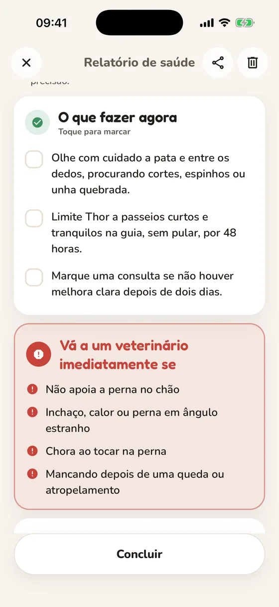 Relatório do Pawsy com a lista do que fazer agora e os sinais de alerta