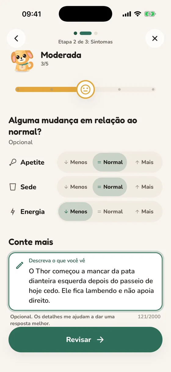 Tela do Pawsy em que você descreve os sintomas e a gravidade