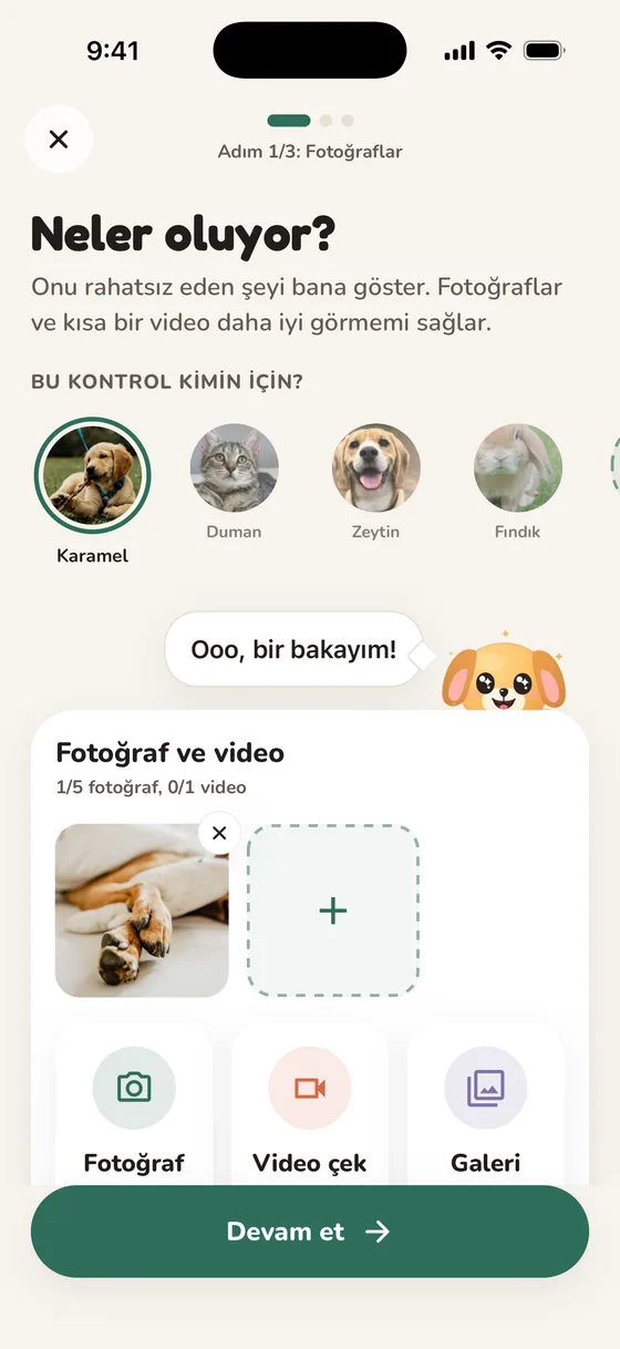 Fotoğraf ve video seçeneklerinin olduğu, neler olduğunu soran Pawsy ekranı