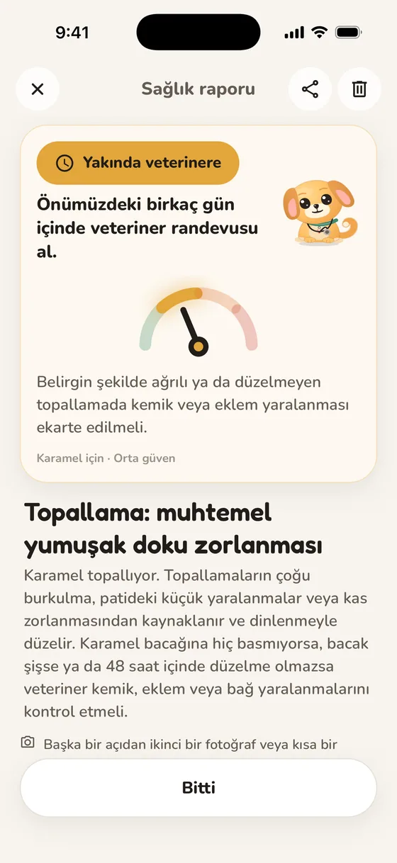 “Yakında veterinere” aciliyet seviyesini gösteren Pawsy sağlık raporu