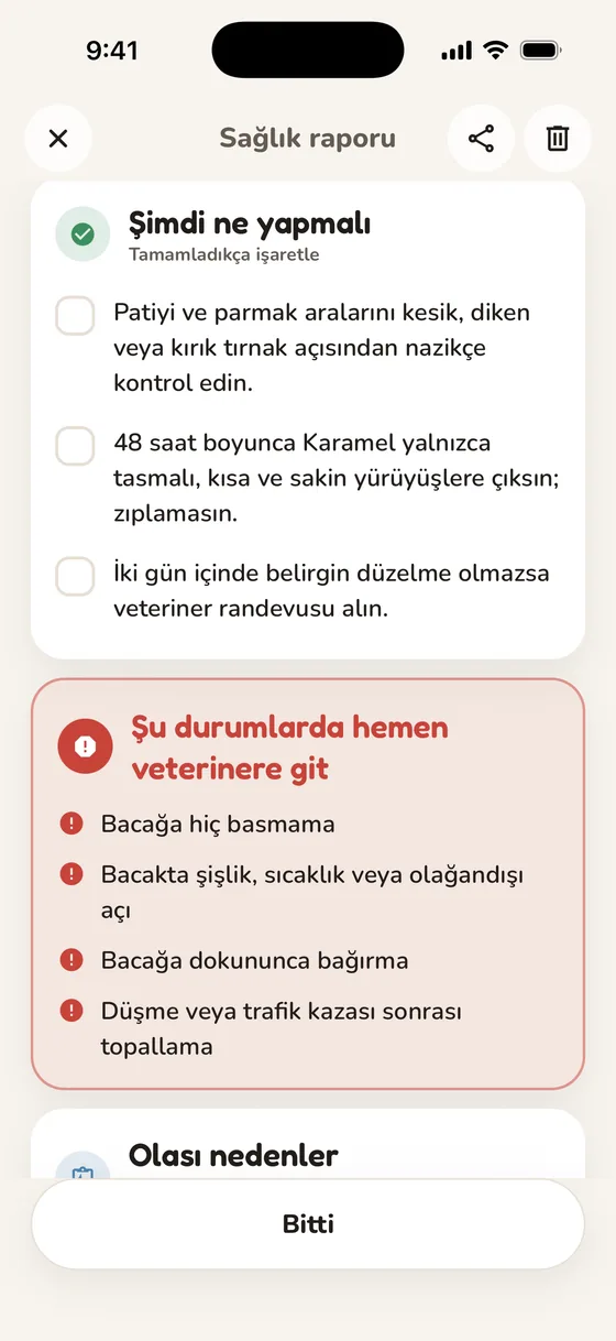 Şimdi yapılacaklar listesi ve uyarı işaretleri olan Pawsy raporu