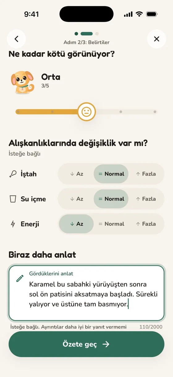 Belirtileri ve ne kadar kötü göründüğünü anlattığın Pawsy ekranı